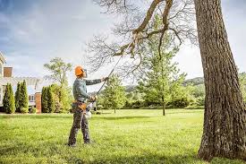 Best Residential Tree Removal  in Stanhope, NJ